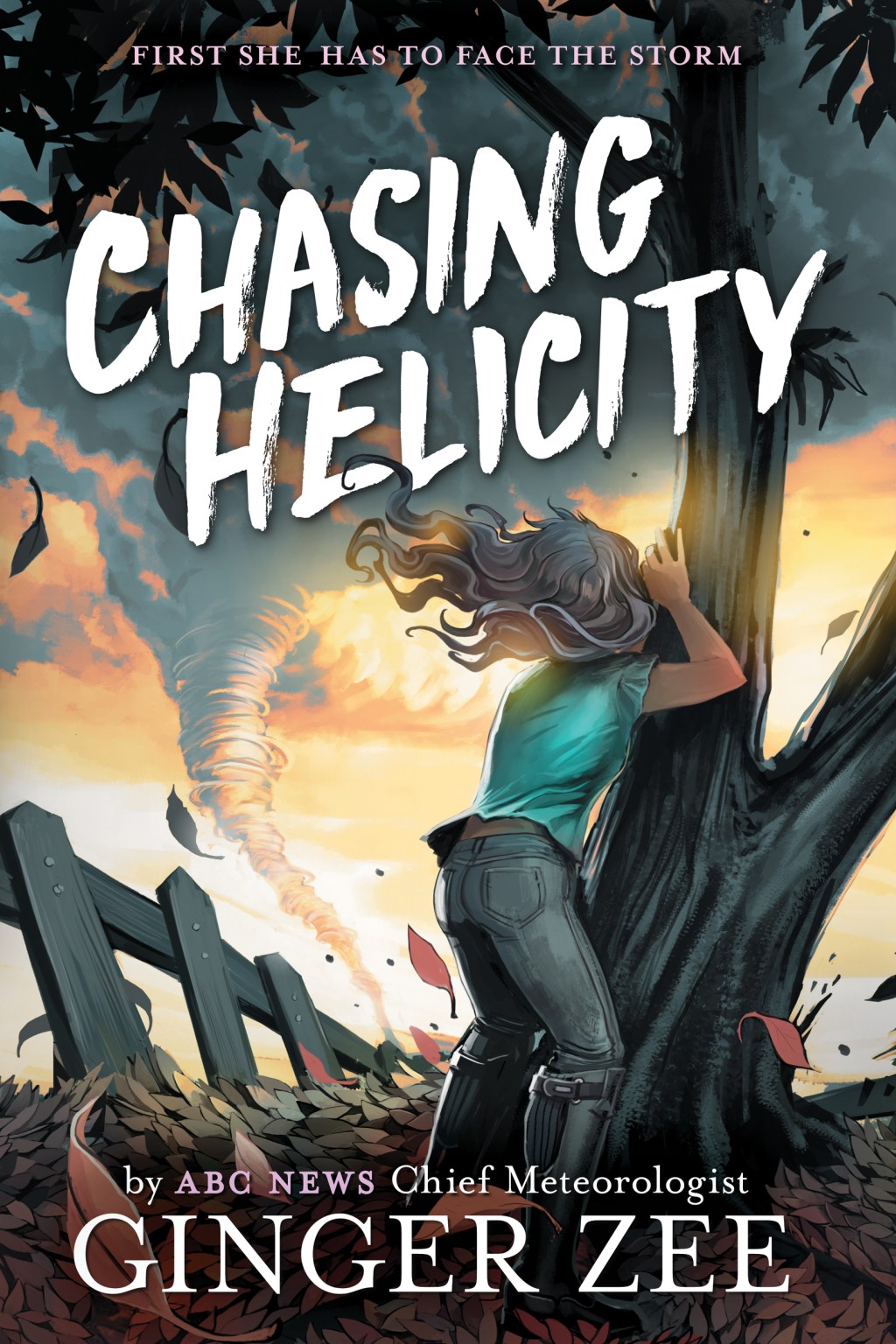 Chasing Helicity by Ginger&nbsp;Zee