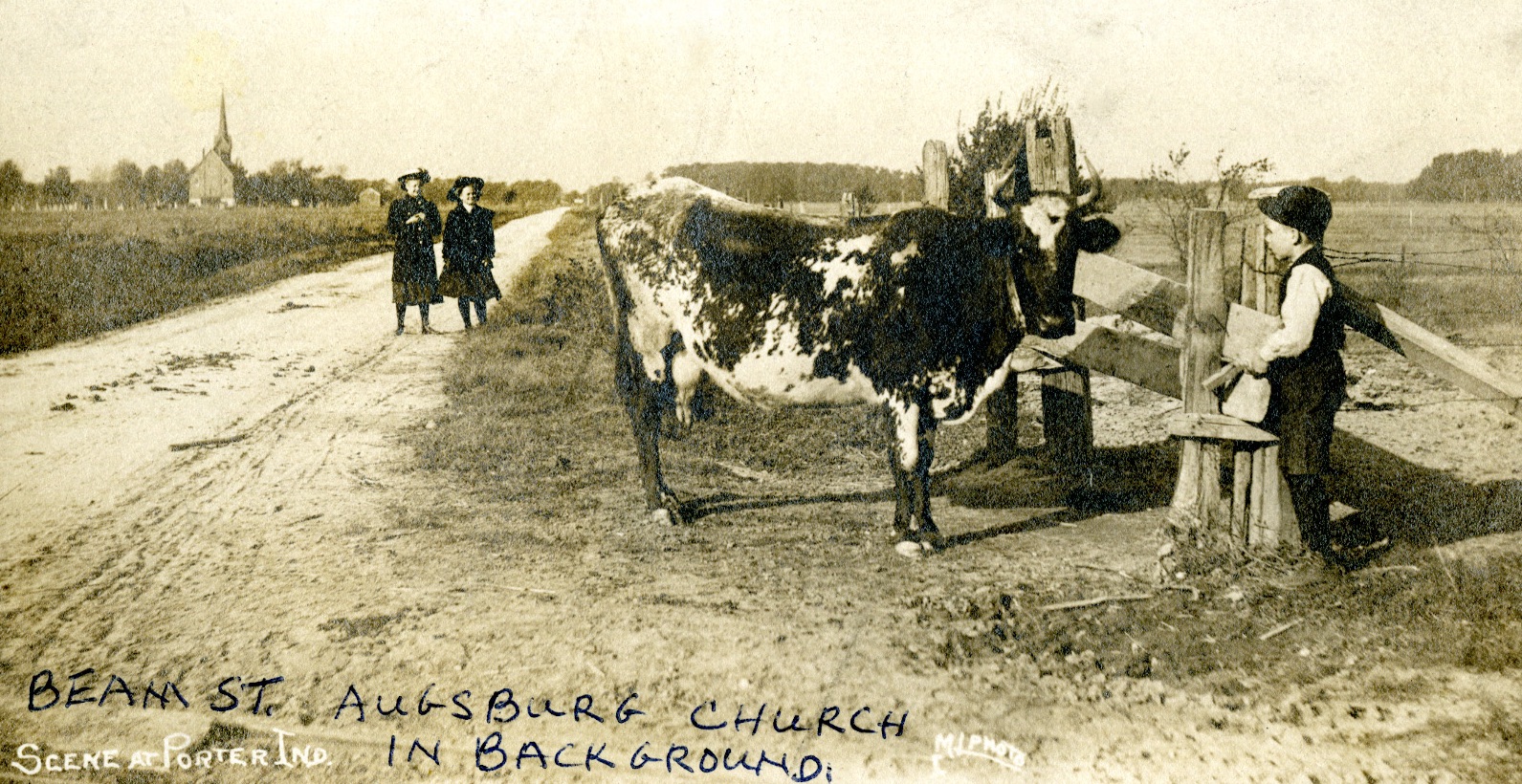 Beam Street with a cow