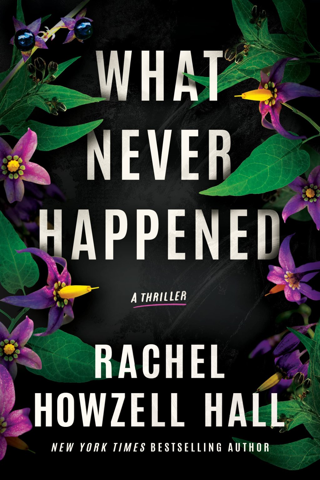Book: “What Never Happened” by Award Winning Mystery Writer Rachel Howzell&nbsp;Hall